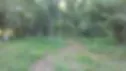 FlutterBye Ranch image 2