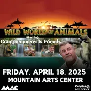 Mountain Arts Center image 2