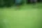Perryville Country Club image 3