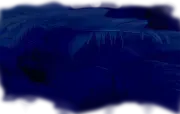 Blue Goose Events logo