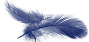 Blue Goose Events image 2