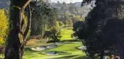 Moraga Country Club logo