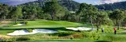Saddle Creek Resort image 4