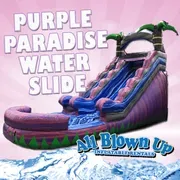 The Inflatable Fun Factory logo