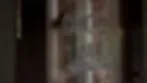 Corto Lima image 2