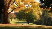 Farmington Country Club image 4