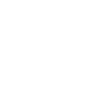 Feller Limousine logo