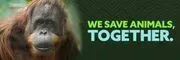 Louisville Zoo logo