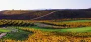 Chardonnay Golf Club image 2