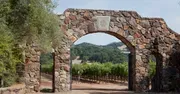 Sebastiani Vineyards & Winery logo