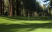 Northwood Golf Club image 4
