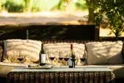 Terra d'Oro Winery / Montevina Winery image 3