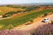 Helwig Winery image 4