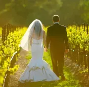 Trentadue Winery image 2