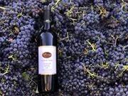 deLorimier Winery image 2