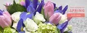 Galleria Florist logo