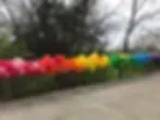 Balloonarts image 4