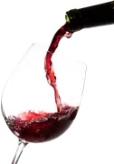 Paisano's Ristorante logo