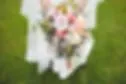 Trumpet Vine Farm logo