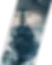 BCS, Incorporated image 2