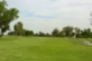 Colusa Golf & Country Club logo