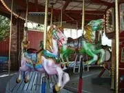 Stricker's Grove image 3