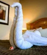 Suite Dreams Hotel image 3