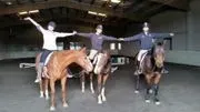 Amazing Grace Equestrian Center, LLC image 2