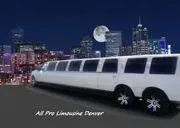 All Pro Limousine Denver image 3