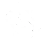 Real Event Enterprises image 2
