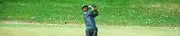 Wedgwood Country Club logo