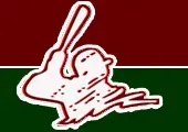 The Hitting Center logo