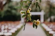 Amazing Weddings & Ceremonies logo