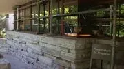 Fallingwater image 2