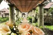 Delaware County Weddings image 3