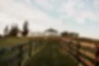 Lauxmont Farms Weddings image 2