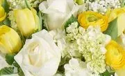 Robertson's Flowers & Events image 1