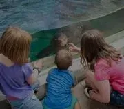 Columbus Zoo & Aquarium logo