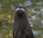 Columbus Zoo & Aquarium image 2