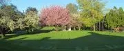 Middletown Country Club image 4