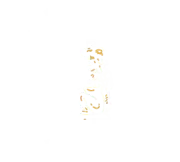 Market Cross Pub logo