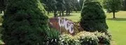 Windber Country Club image 3