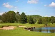 Chestnut Ridge Golf Resort image 2