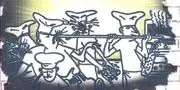 Grady's Pizza image 2
