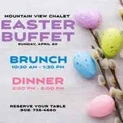 Mountain View Chalet logo