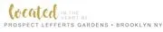 Jolie Studio logo