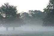 Deer Trails Country Club logo