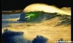 SRJ Enterprises image 2