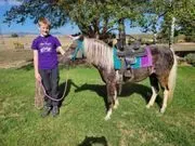 Little Angels Pony & Pals image 2