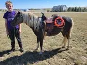 Little Angels Pony & Pals image 3